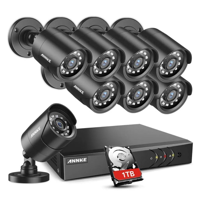 Outdoor security cameras