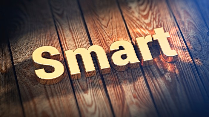 Smart home security systems