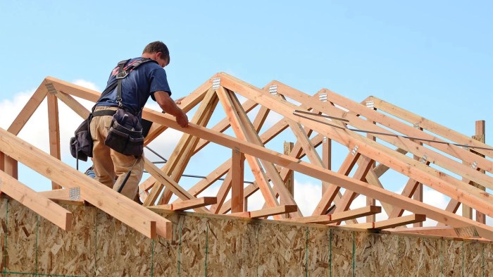 Roofing - Aria Builders