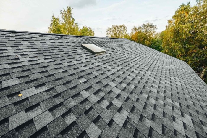 Roof repair