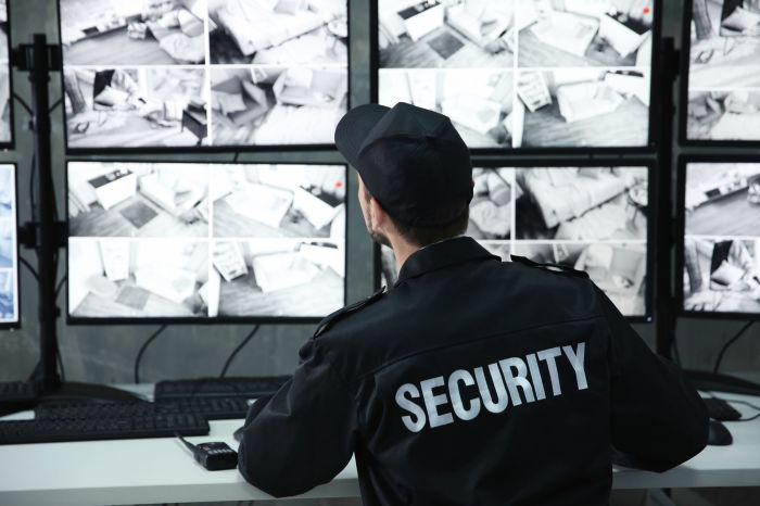 Outdoor security cameras